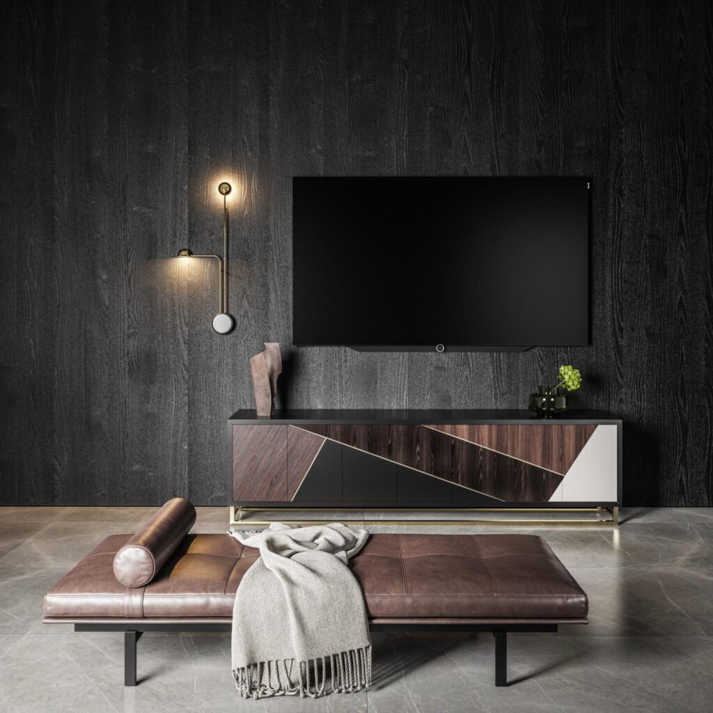 Loewe bild s, Detailansicht